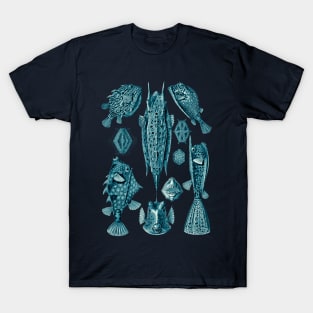 Ernst Haeckel Ostraciontes Fish Cerulean T-Shirt